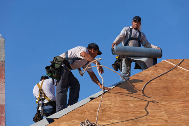 Best Roof Repair Services  in Loudonville, OH