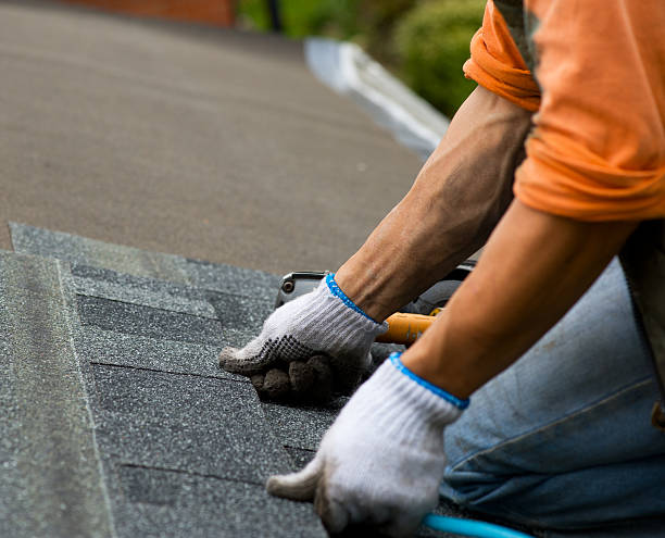 Best Roof Maintenance Services  in Loudonville, OH